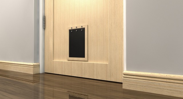 Cat Flap Installation Belgravia, Westminster, SW1