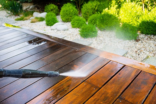 Garden Clearance Belgravia, Westminster, SW1