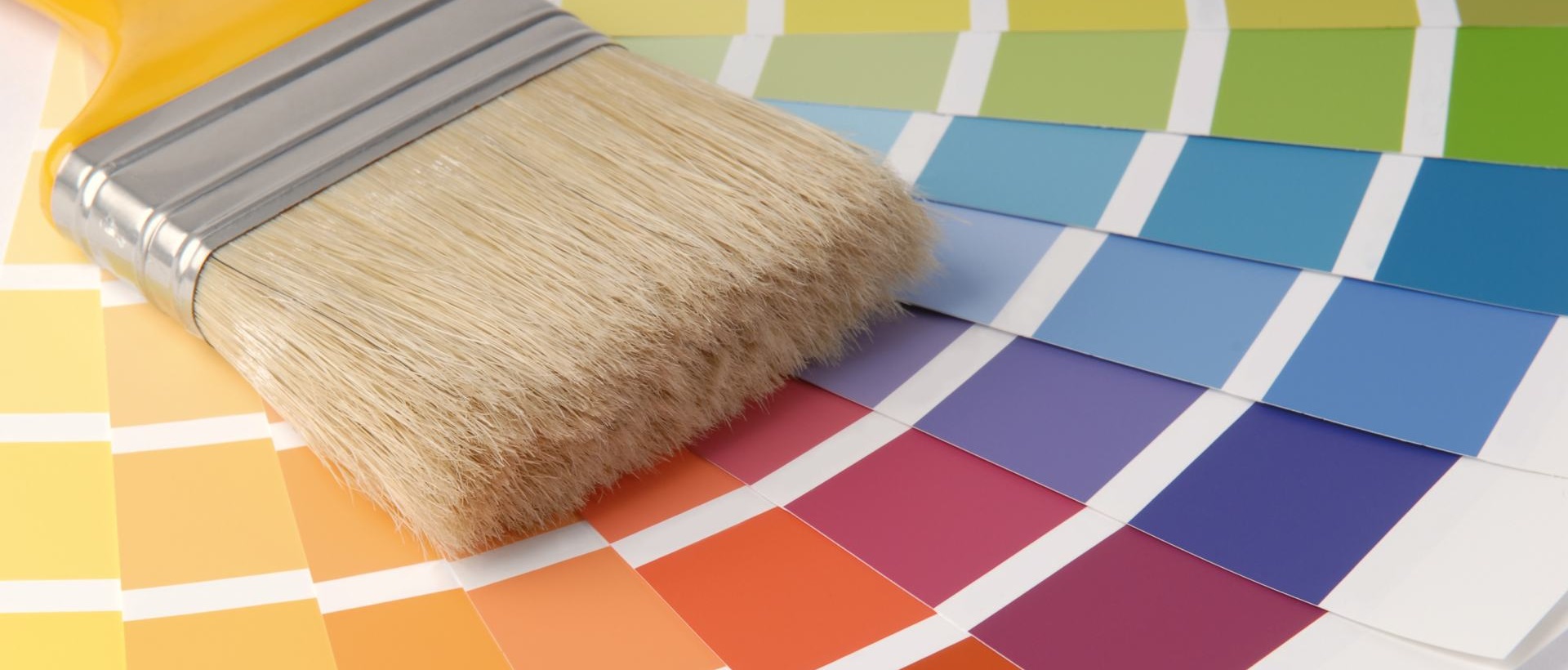 Painter SW1